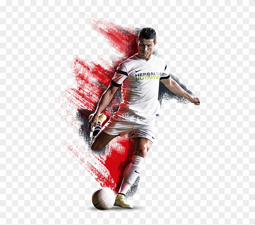 Sports Nutrition Awards 2019 Herbalife Clipart