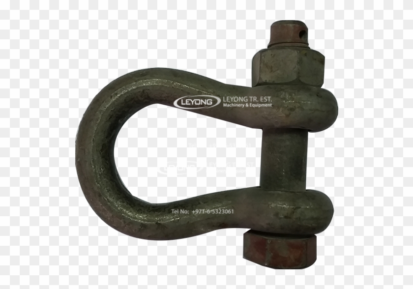 D Shuckle - Wood Clipart