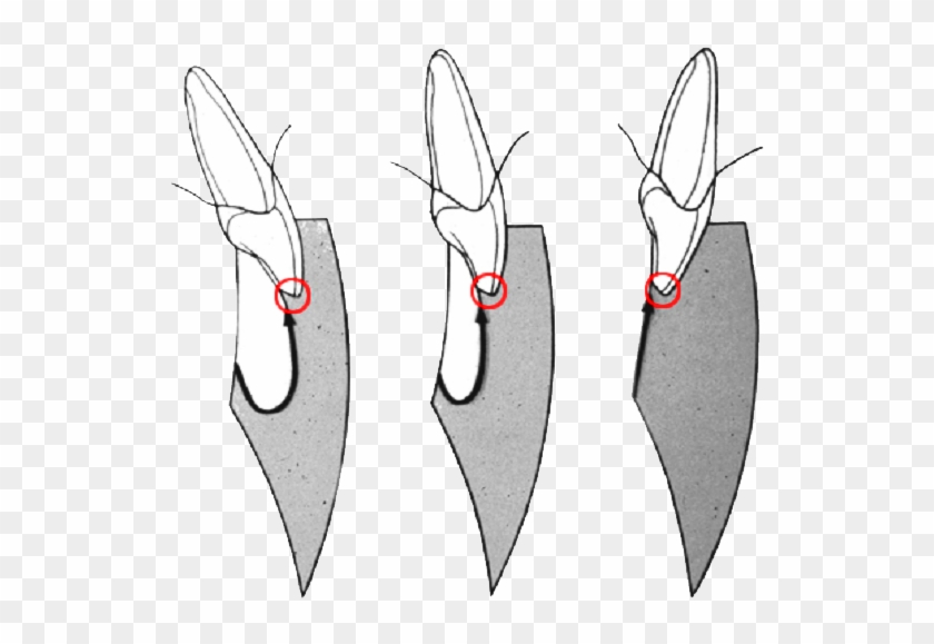 0 Replies 1 Retweet 0lajků - Bowie Knife Clipart