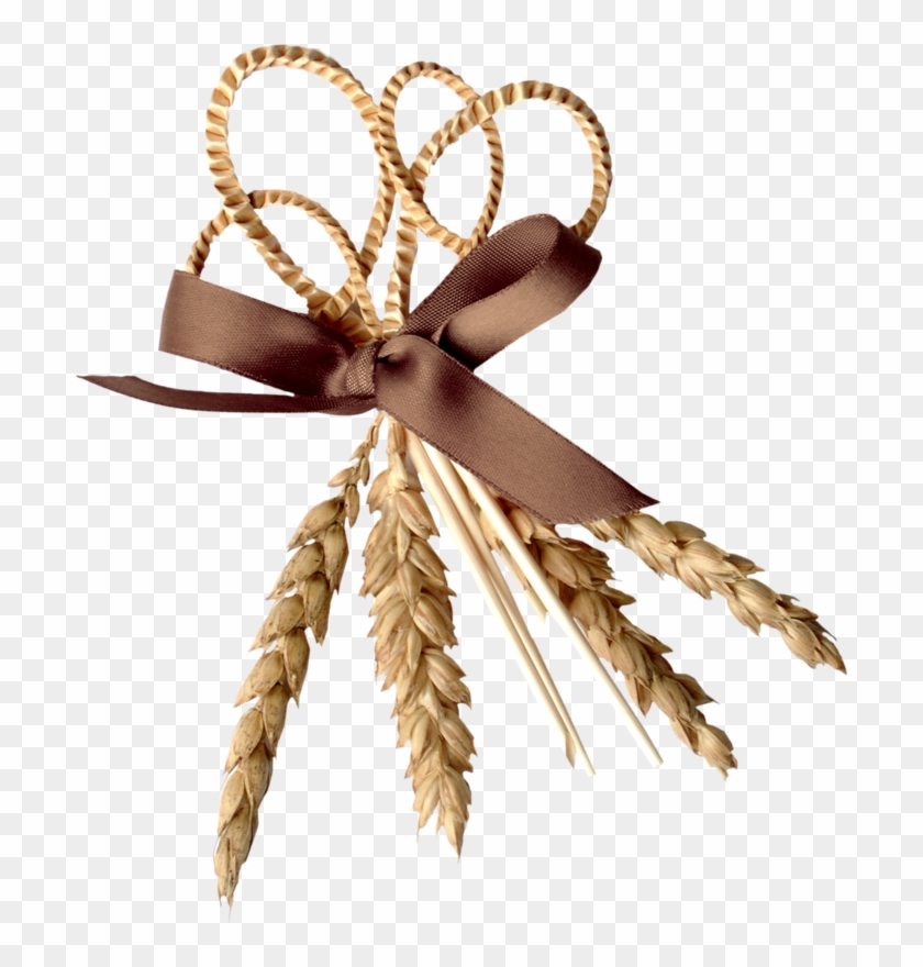 Фотки Ribbon Clipart, Scrapbook Images, Scrapbooking, - Ribbon - Png Download