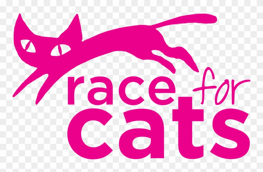 A Practitioner From Peverell, Plymouth, Will Be Walking - Cat Clipart