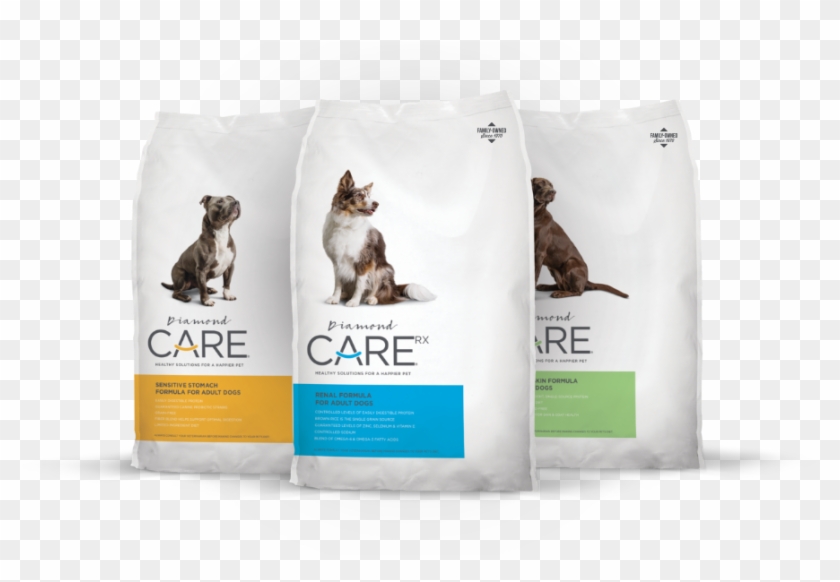 Diamond Care - Companion Dog Clipart #4083446