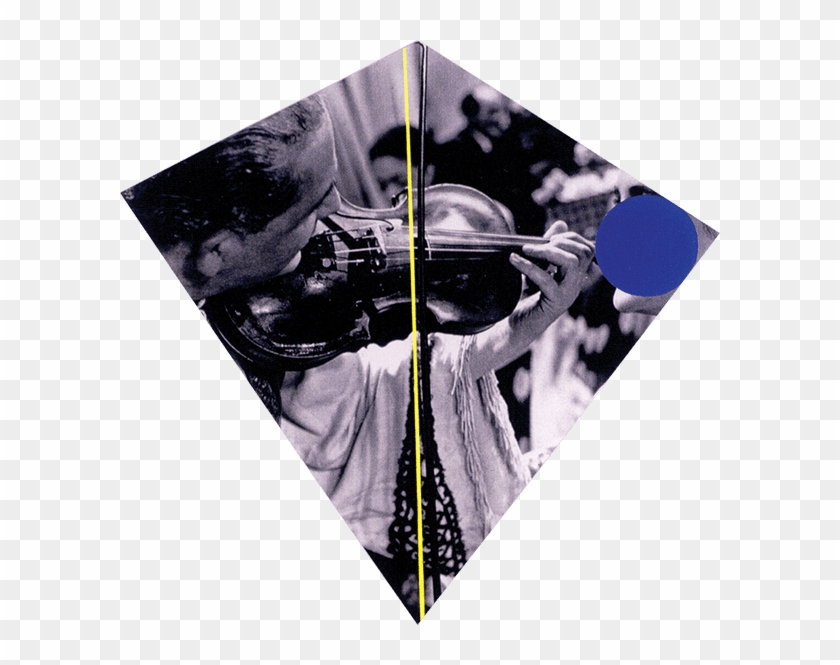 You Serious Andrew Bird Clipart