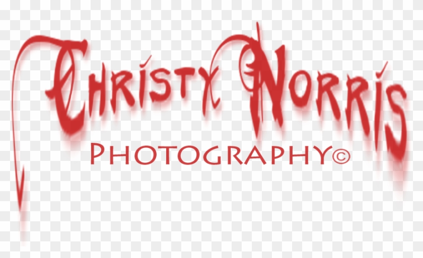 Christy Norris Photography Facebook - Calligraphy Clipart
