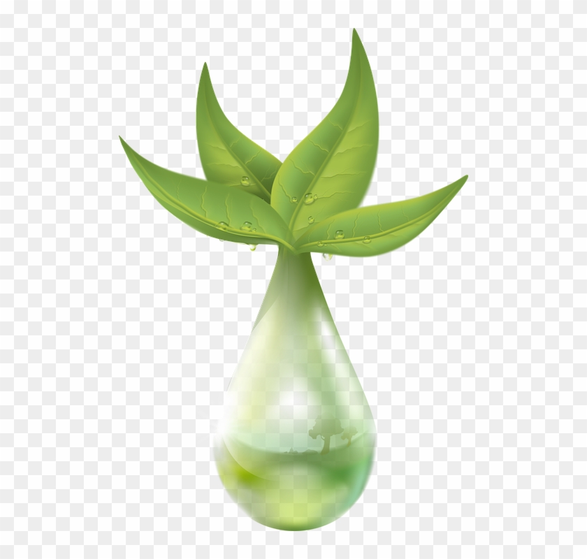 Extraction Plant Liquid Drop Of Water Leaf Green - Plant Extract Png Clipart #4085257