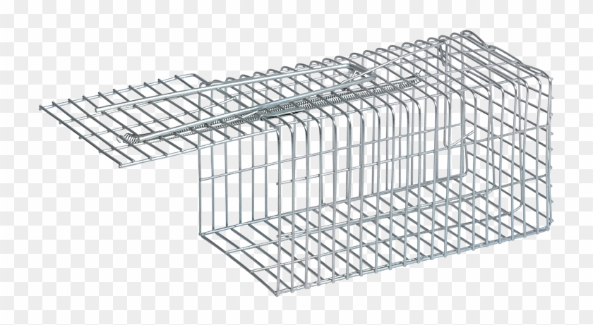 Screen Mouse Trap - מלכודת עכברים הומאנית Clipart