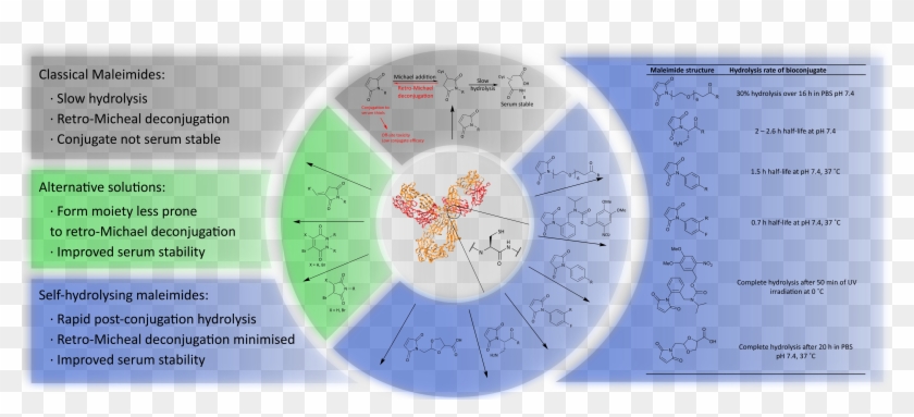 Graphical Abstract Clipart