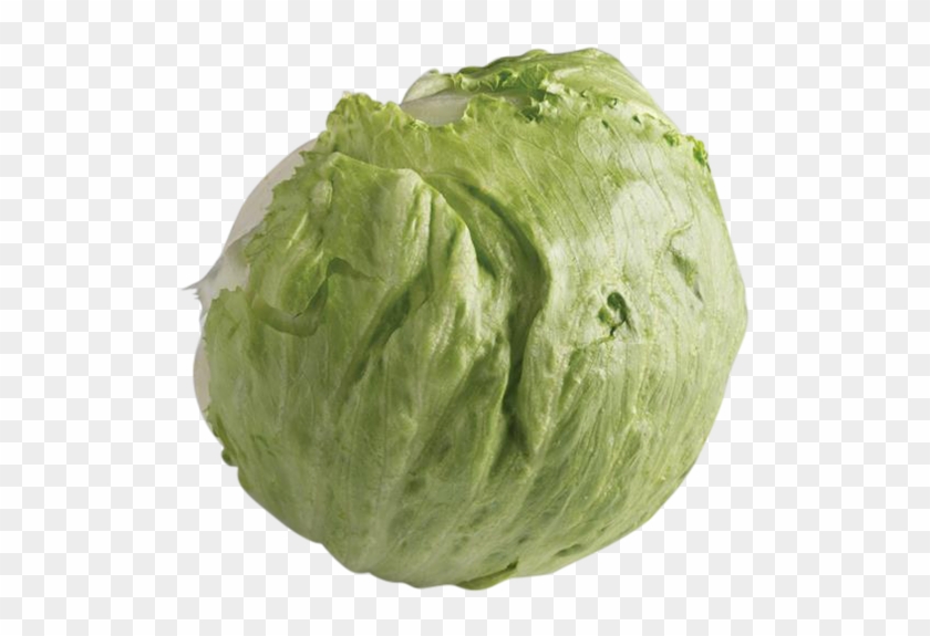 600 X 574 9 - Head Of Lettuce Png Clipart #4087366