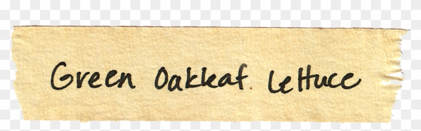 Calligraphy Clipart #4087706