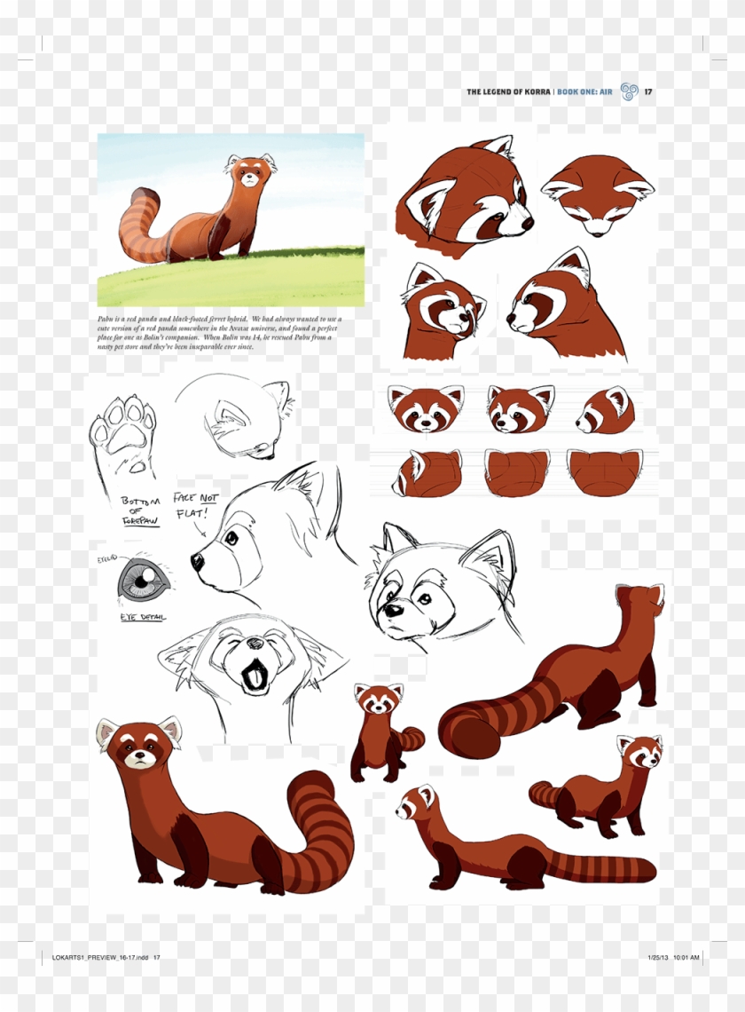 Original - Black Footed Red Panda Ferret Clipart #4088372