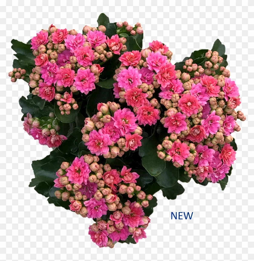 View Products - Красивый Букет Цветов В Корзине Clipart