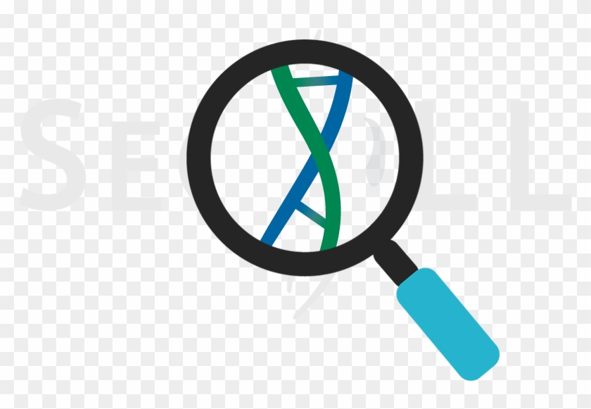 Magnifying Glass Dna Cell Svg Png Icon Free Download Clipart