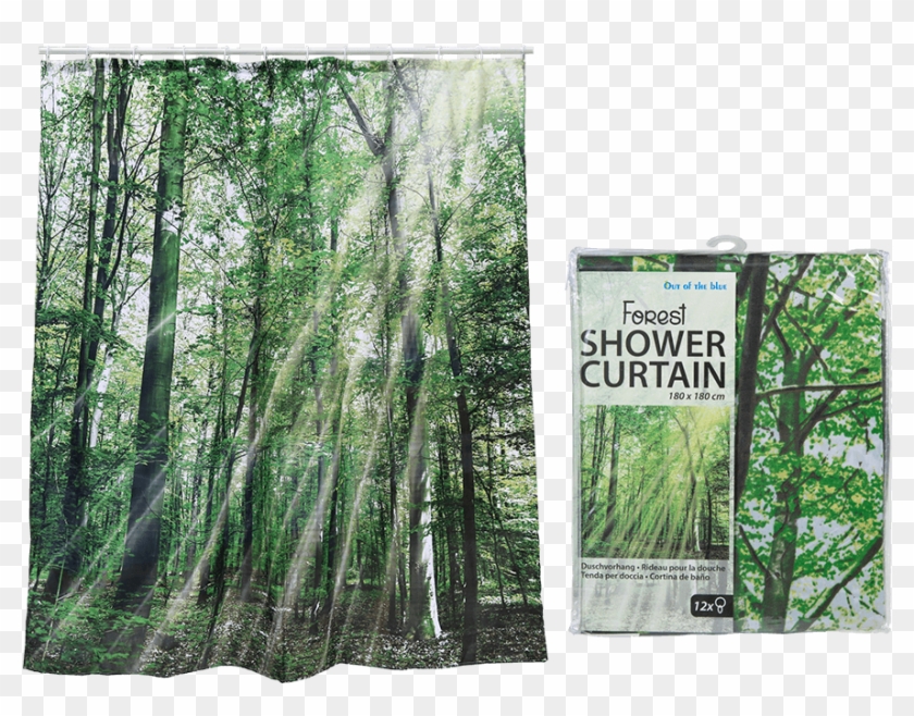 Plastic Shower Curtain - Zasłonka Pod Prysznic Clipart