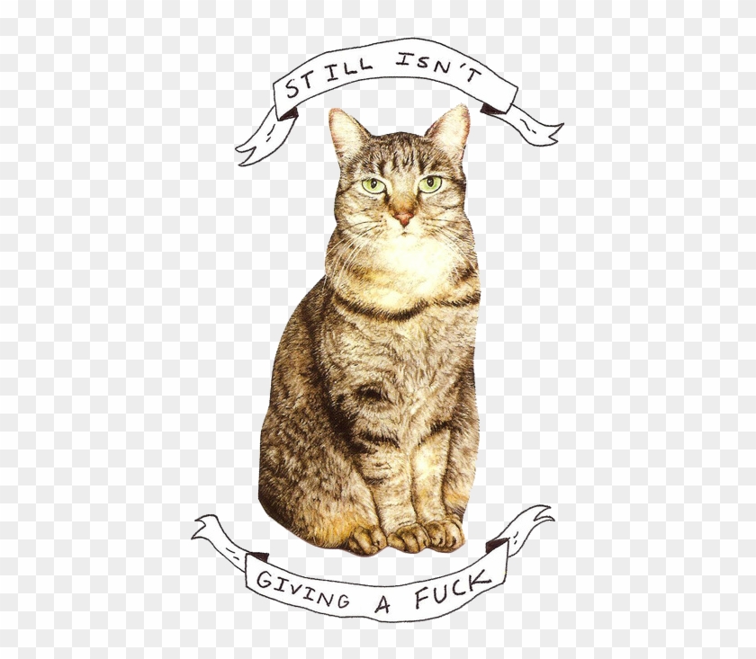 Doesn't Give A F*ck Crazy Cat Lady, Crazy Cats, Cat - Я И Моя Сраная Кошка Clipart
