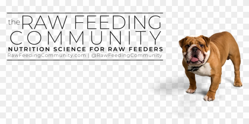 raw feeding community