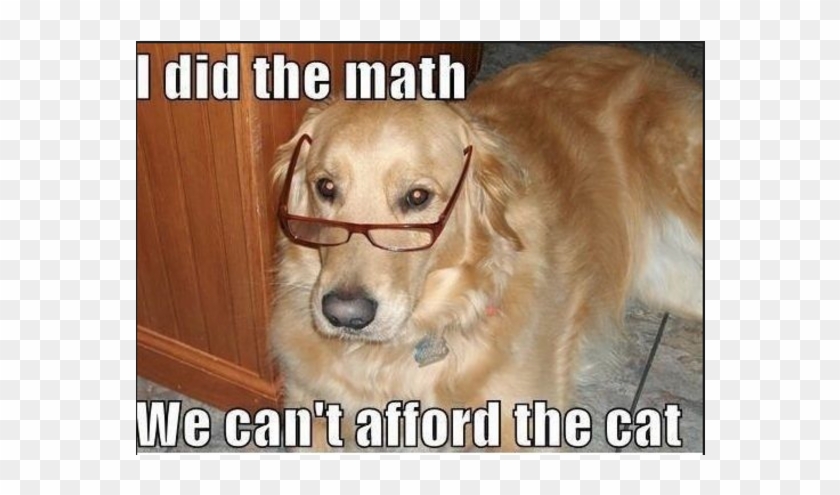 Yes, This Is Dog - Cute Golden Retriever Memes Clipart