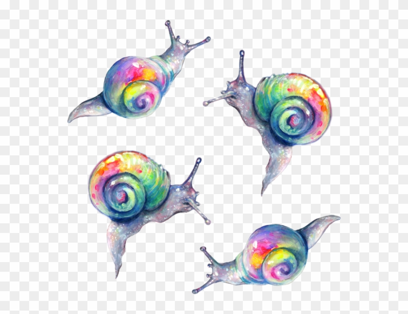 Rainbow Snail Png - Rainbow Snails Clipart #4094477