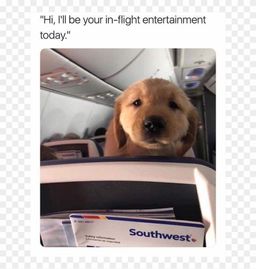 Author Cleanmemesposted On April 8, 2019 February 10, - Can You Stop Kicking My Seat Clipart