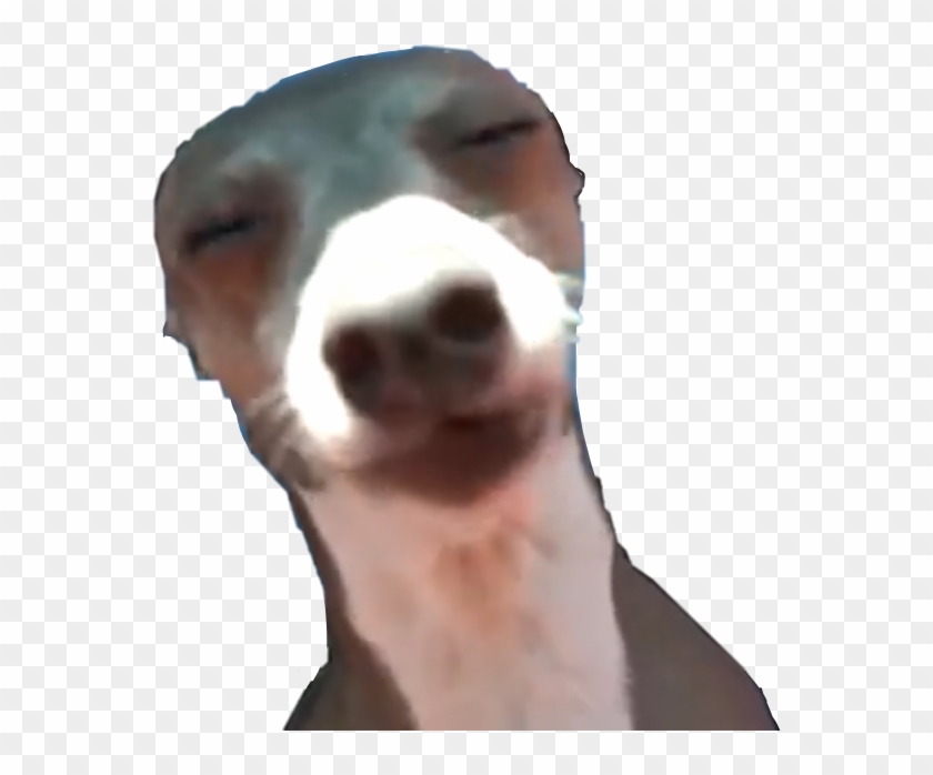 Kermit Sticker - Dog Licks Clipart