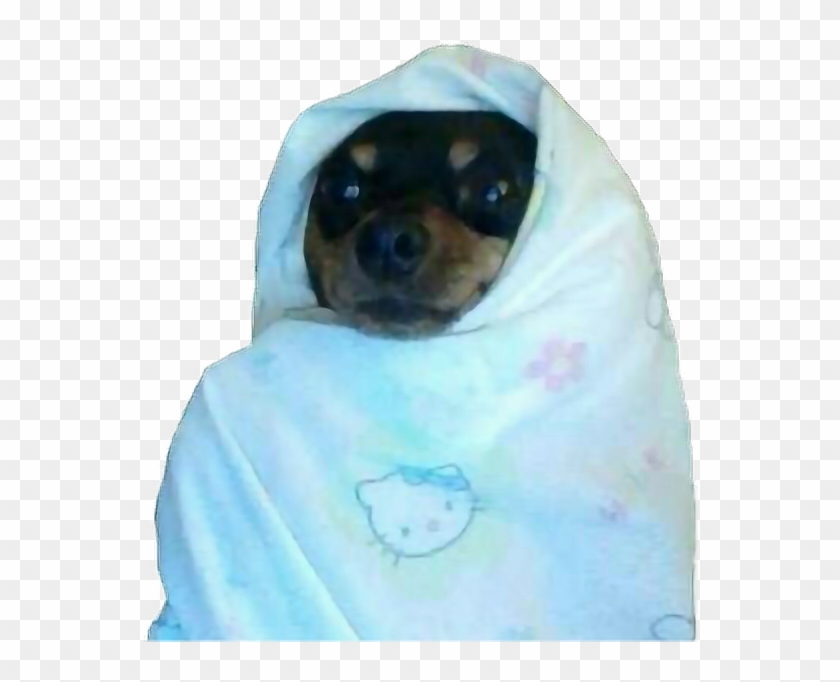 #dog #meme #tumblr - Q Absurdo Clipart