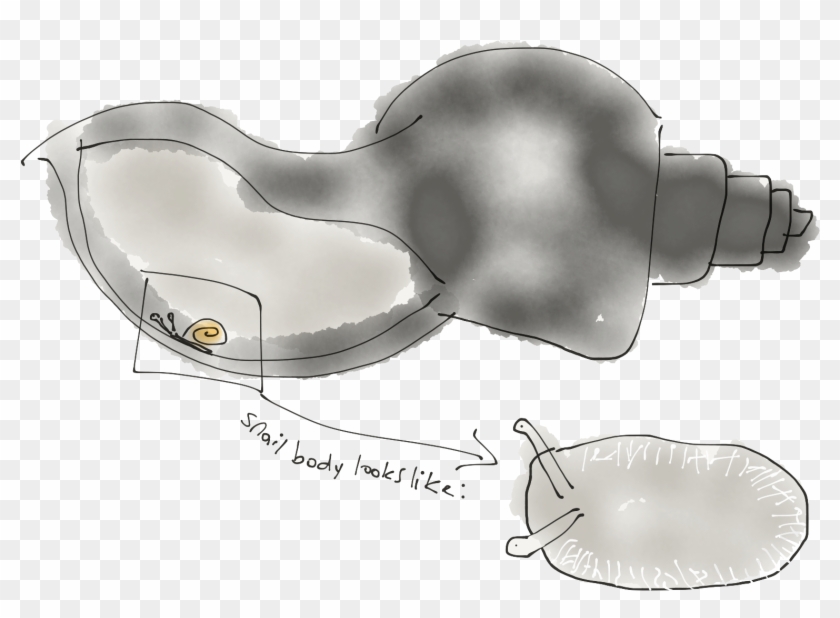 When I First Saw This, I Thought They Were Absorbing Clipart