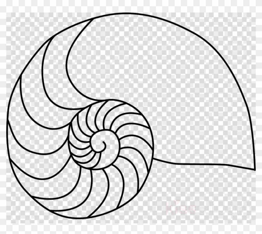 Nautilus Shell Clip Art Clipart Nautilidae Chambered - Vivekananda Images National Youth Day - Png Download