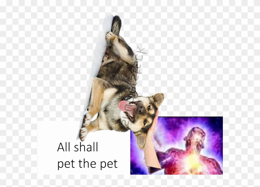 I Made This Low Effort Meme, Not Sure If I'm Proud - Dog Yawns Clipart #4095280