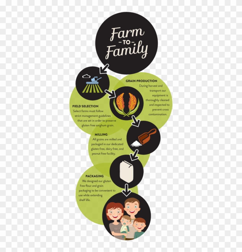 Gluten Free Farm To Family - Flyer Clipart #4095501