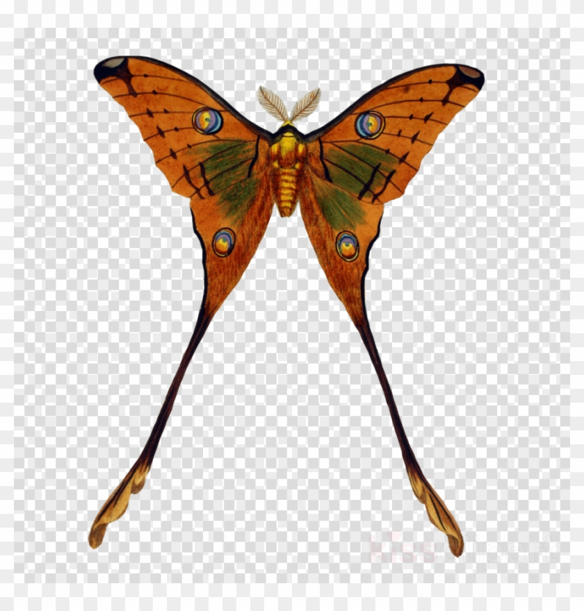 Black And White Drop Of Water Clipart Royalty-free - Black Curved Line Transparent - Png Download #4095988