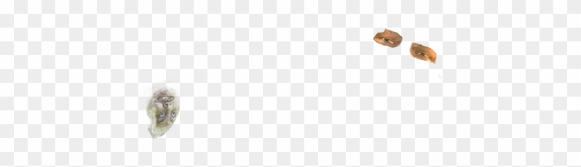 Jabba The Butt - Snail Clipart #4098739