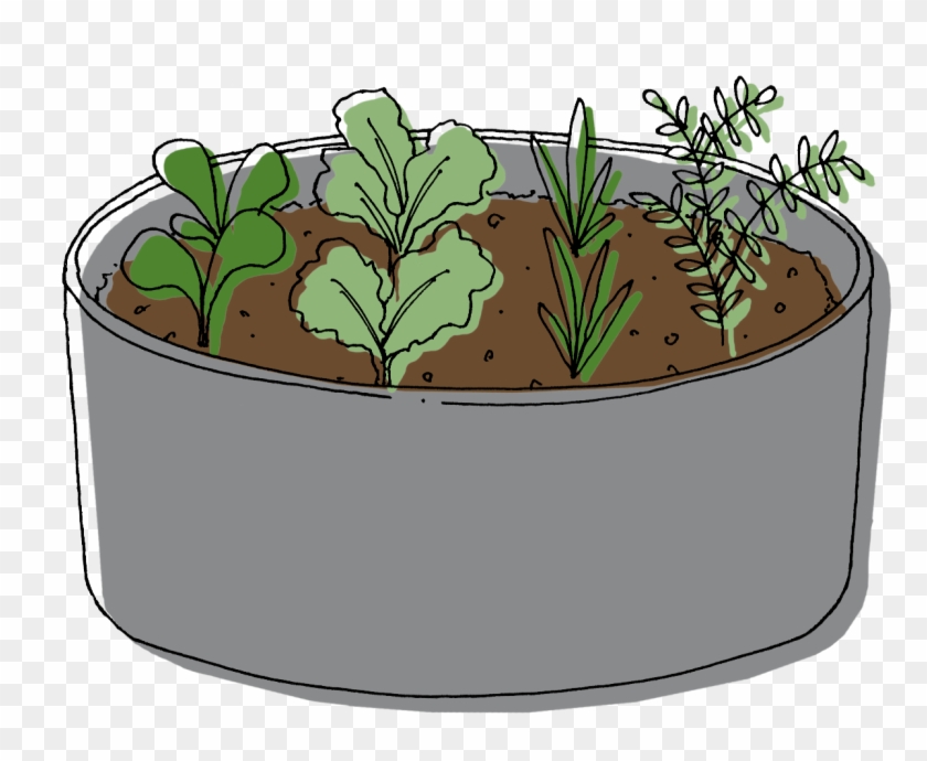 Raised Bed - Illustration Clipart