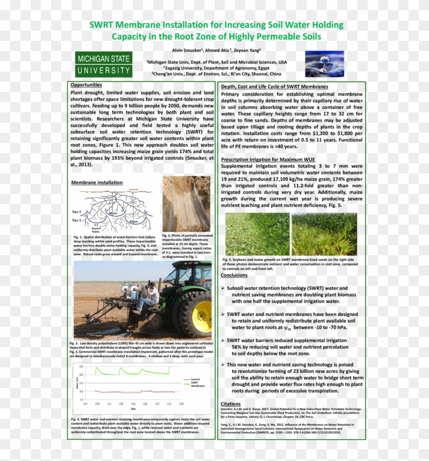 Pdf - Tree Clipart #4099575