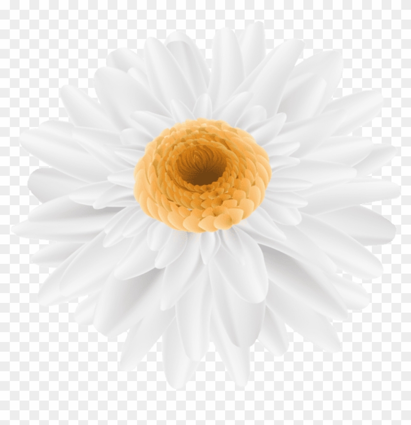 Free Png Download Flower White Transparent Png Images - Sunflower Color Drawing Clipart