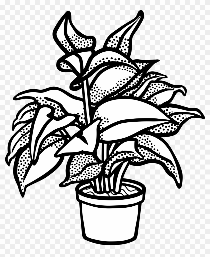 Plant Drawing Black And White At Getdrawings - Plants Clip Art Black And White - Png Download #411025