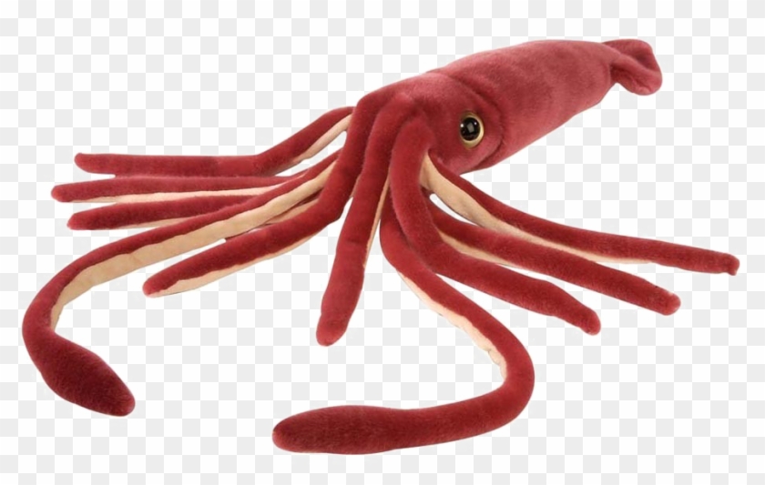 Squid Png Free Download - Squid Soft Toy Clipart #412803