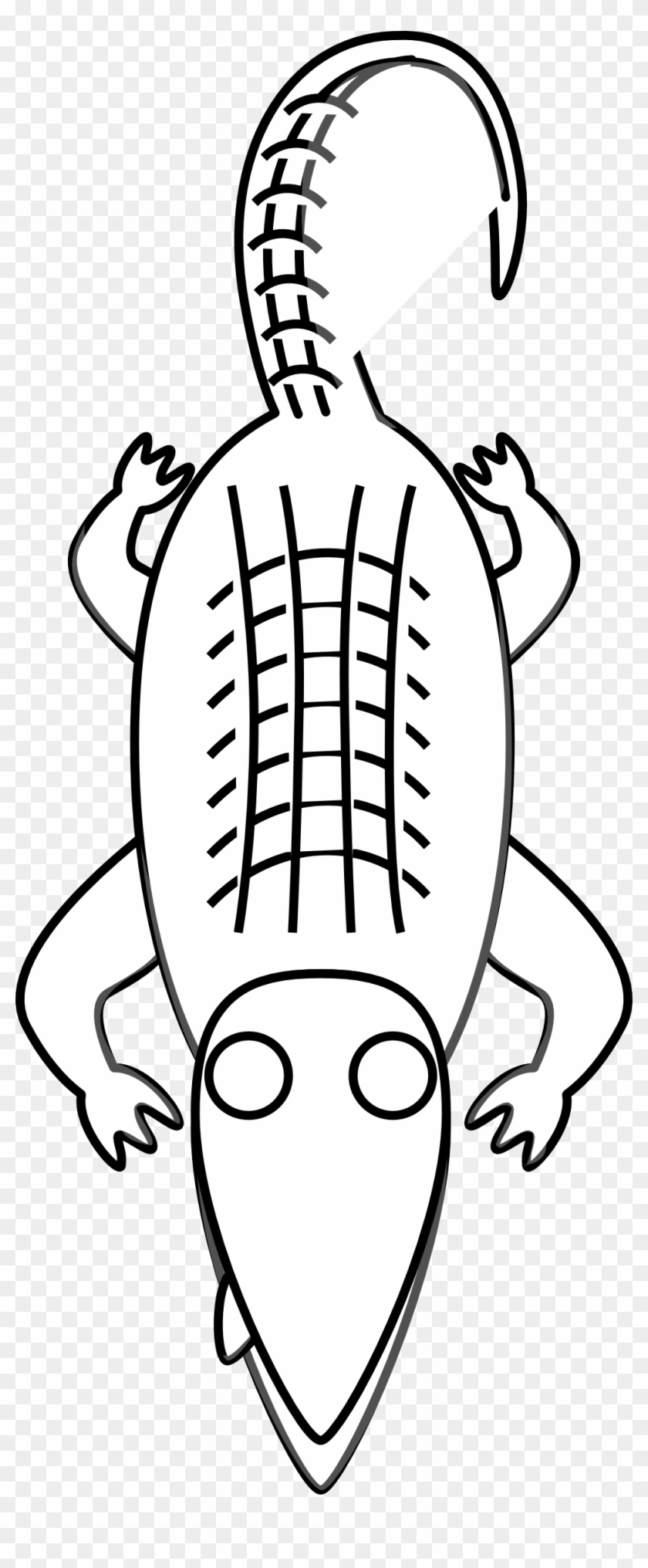 Panda Free Images - Alligator Clip Art - Png Download