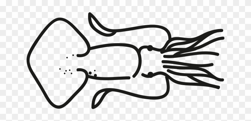 Giant Squid - Line Art Clipart