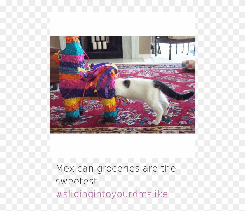 Cats - Cute Animals With Funny Sayings Clipart #414276