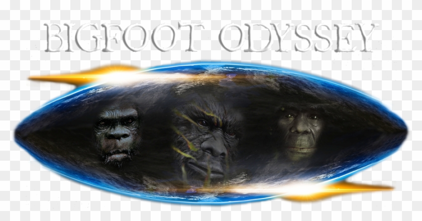 We Are Bigfoot Odyssey - Chewbacca Clipart #414317