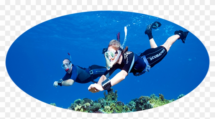 What Other Items Do Customers Buy After Viewing This - Snorkeling Clipart