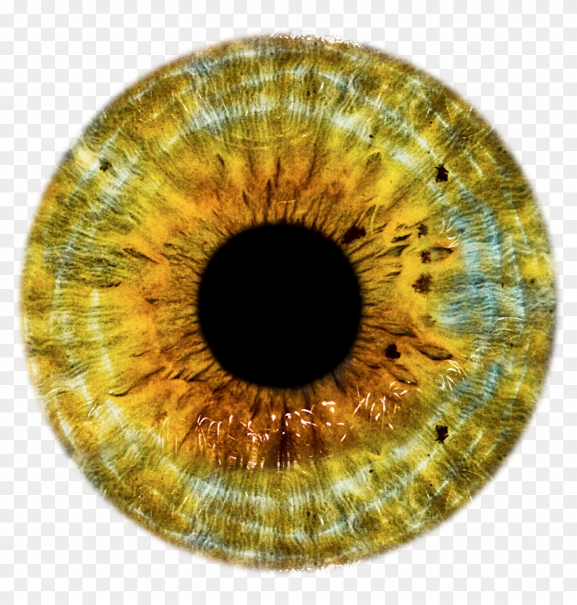 Iris Oeil Eyes Clipart Realistic Eye Drawing Drawing Png Download Pikpng Iris Oeil Eyes Clipart Realistic Eye Drawing Drawing Png Download Pikpng