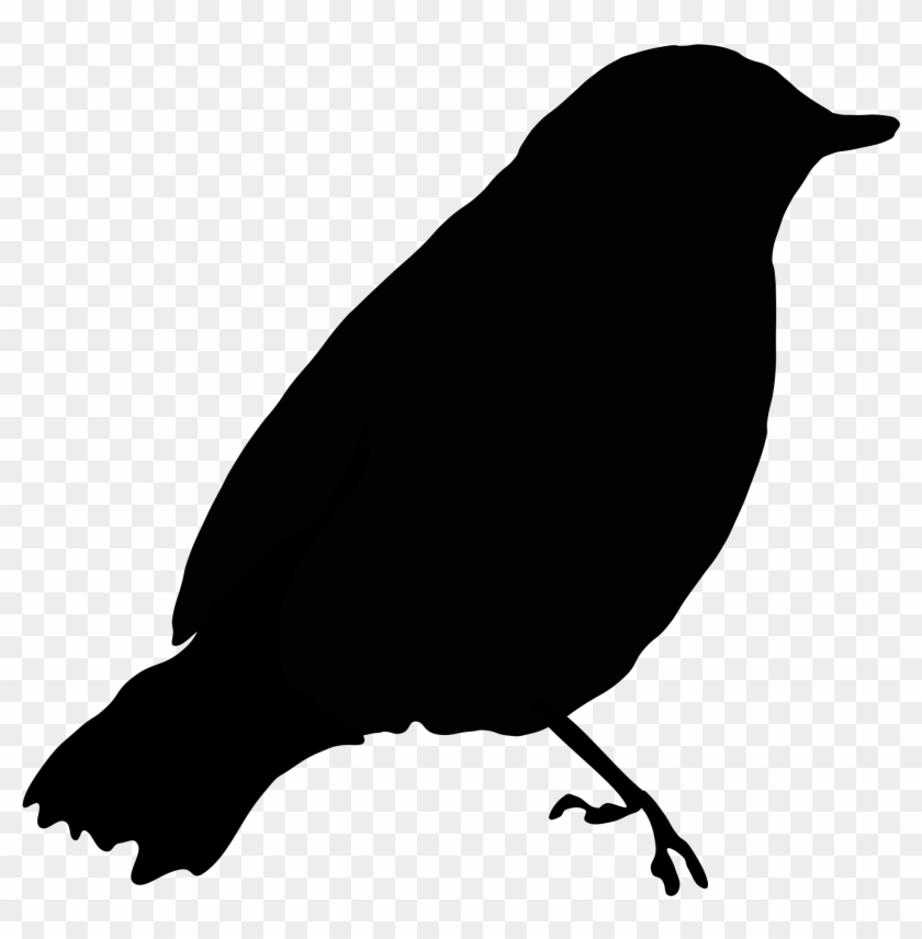 Frigate Bird Silhouette At Getdrawings - Black Bird Clip Art - Png Download #415946