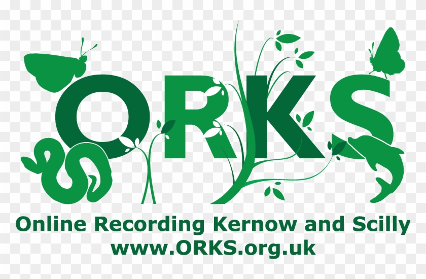 Orks - Graphic Design Clipart