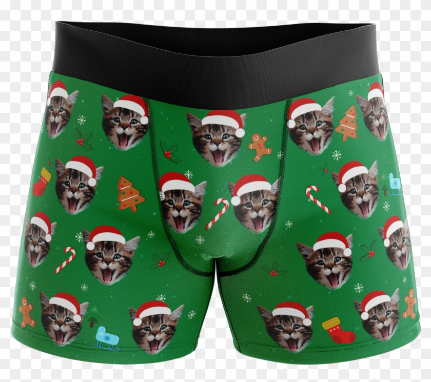 Cat Hat Boxers Santa Clipart