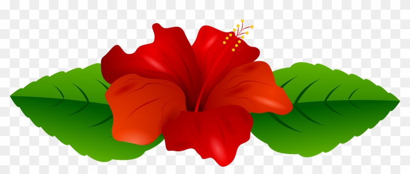 Red Hibiscus Transparent Png Clip Art Image - Transparent Flowers Clipart Png