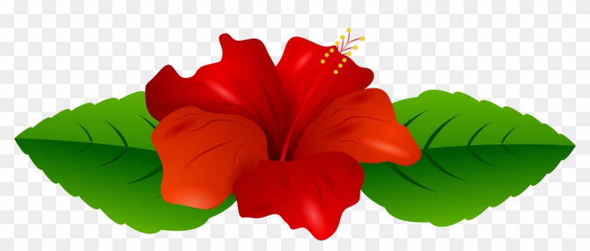 Red Hibiscus Transparent Png Clip Art Image - Transparent Flowers Clipart Png #417478