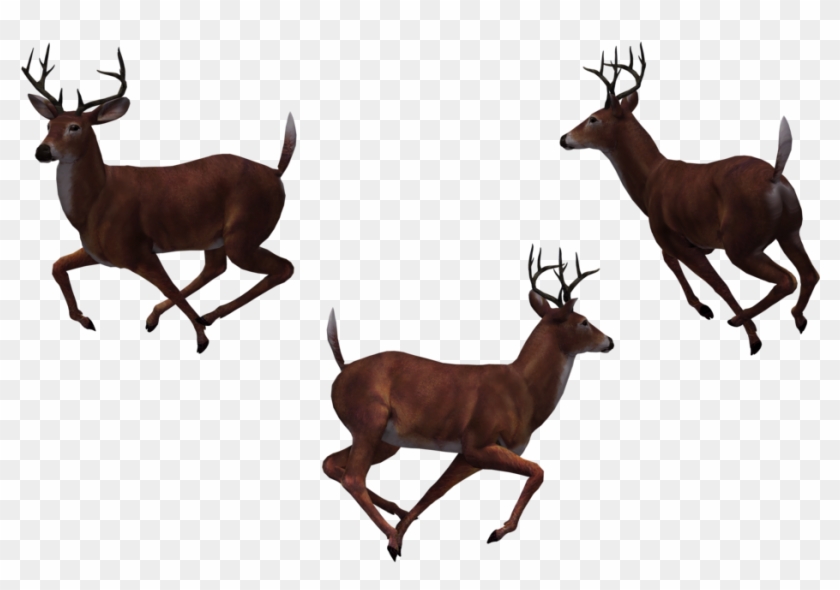 Buck Deer Clipart At Getdrawings - Group Of Deer Png Transparent Png #417517