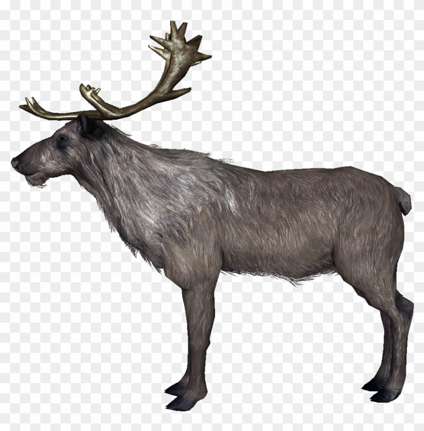 Deer - Skyrim Deer Clipart #417694