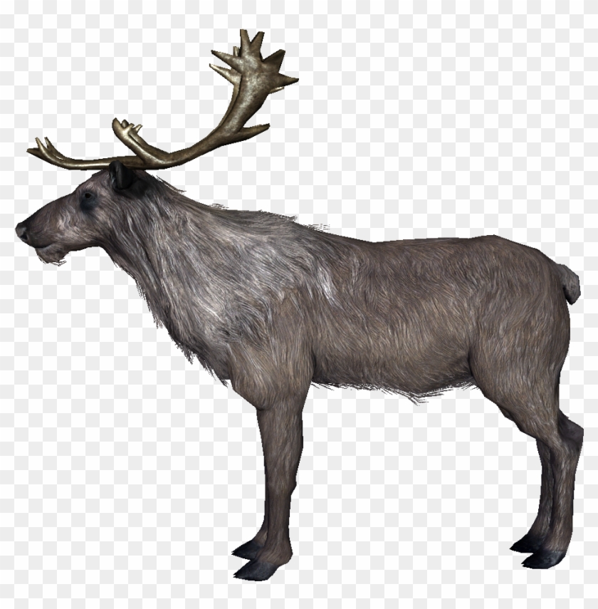 Deer - Skyrim Deer Clipart