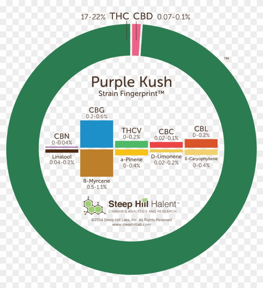 Marijuana Purple Kush Strain Review - Purple Kush Effects Clipart